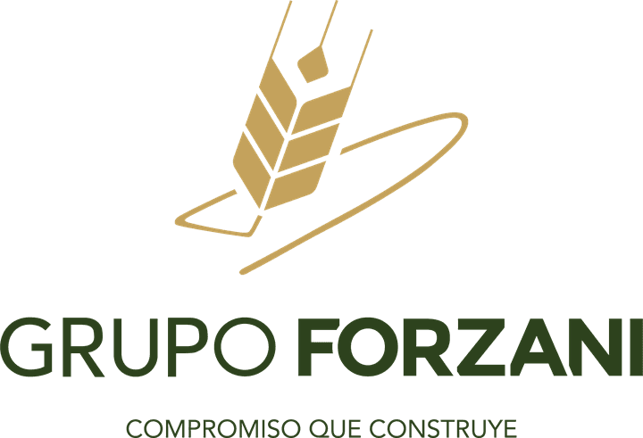 Grupo Forzani